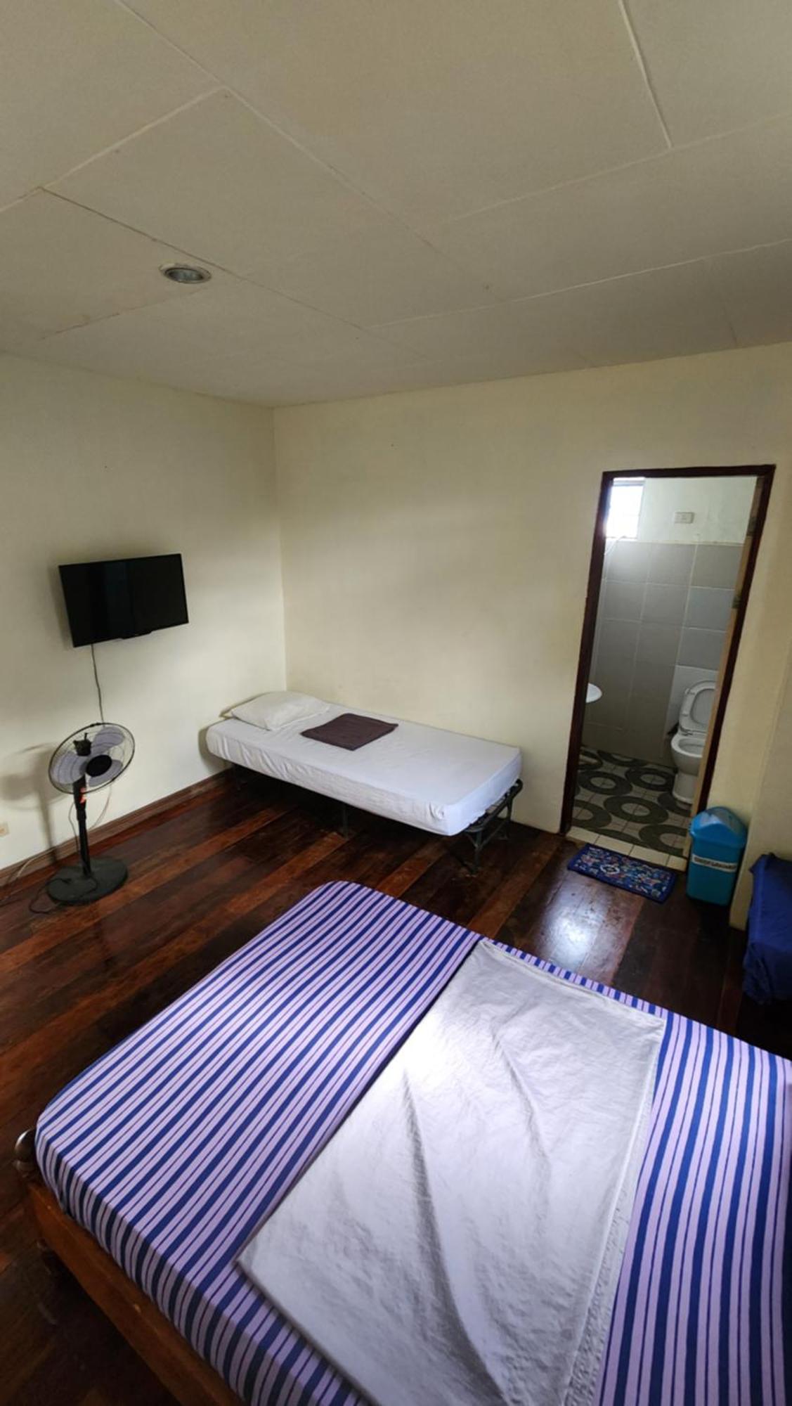 Screaming Gecko Hostel Busuanga Dış mekan fotoğraf